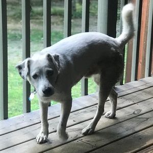 Meet your Posher, Faith